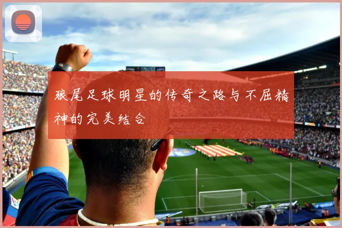 狼尾足球明星的传奇之路与不屈精神的完美结合