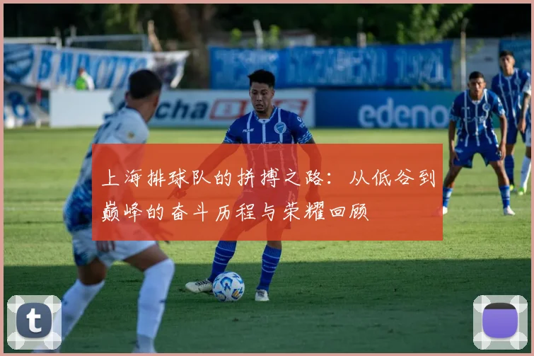 上海排球队的拼搏之路：从低谷到巅峰的奋斗历程与荣耀回顾