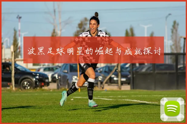 波黑足球明星的崛起与成就探讨