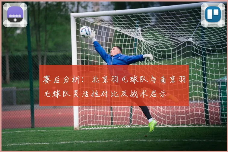 赛后分析：北京羽毛球队与南京羽毛球队灵活性对比及战术启示