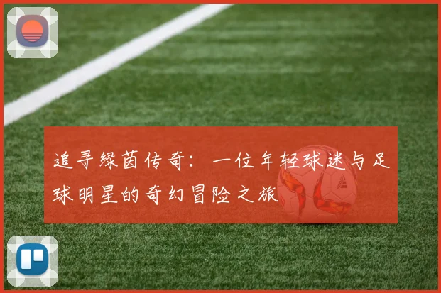 追寻绿茵传奇：一位年轻球迷与足球明星的奇幻冒险之旅