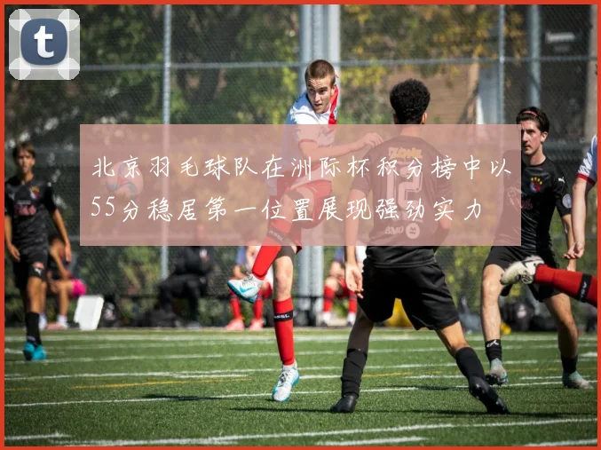 北京羽毛球队在洲际杯积分榜中以55分稳居第一位置展现强劲实力