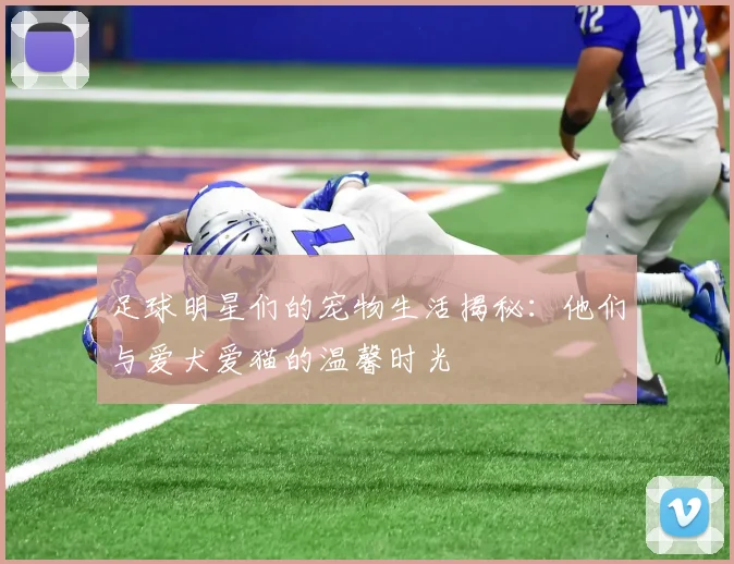 足球明星们的宠物生活揭秘：他们与爱犬爱猫的温馨时光